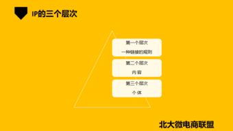 北大微電商聯(lián)盟 移動(dòng)互聯(lián)網(wǎng)時(shí)代的企業(yè)IP與品牌營(yíng)銷新路徑