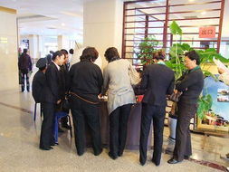 鄭州市金世房地產咨詢有限公司 專業驅動下的房地產服務新標桿